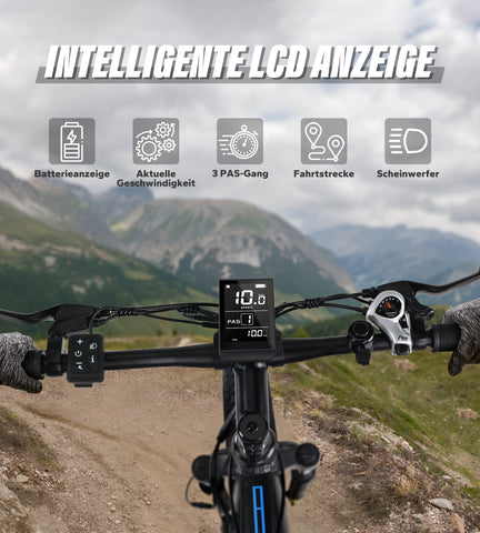 Fat Tire E-Mountainbike Pedelec Vollgefedertes All-Terrain-Elektrofahrrad 90 Nm abnehmbarer Akku große Reichweite – Varun Ballistic 26'' E-Bike